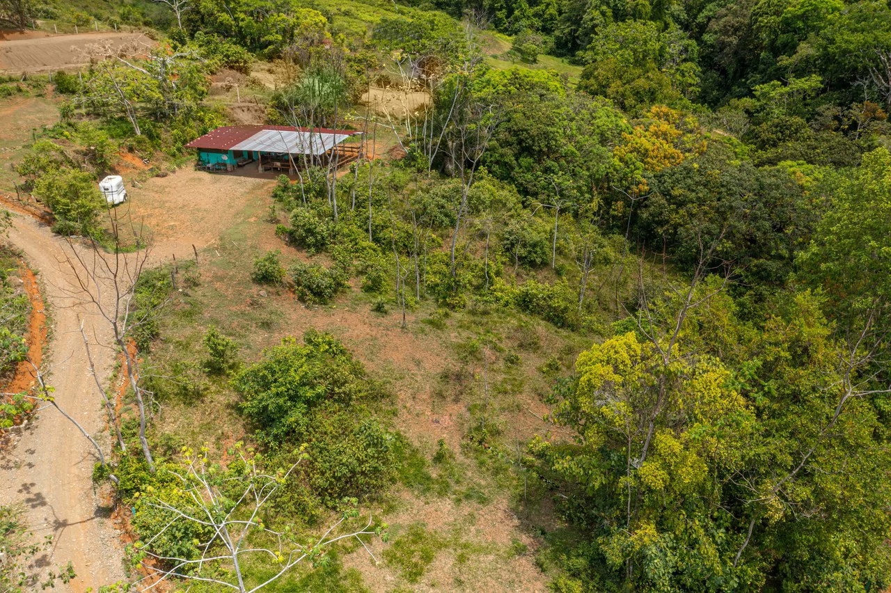 Mountain Mixed Use Building For Sale in Savegre - Gallery image 30