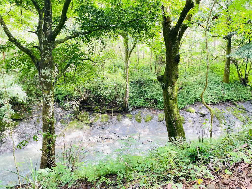 Farm for sale Puriscal Close to Universidad para la Paz Costa Rica - Gallery image 10