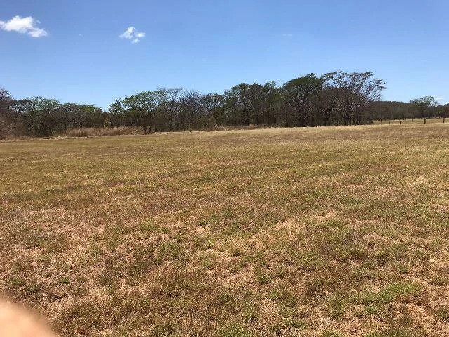 Huge terrain for sale in Guardia close to the International Airport of Liberia - Gallery image 22