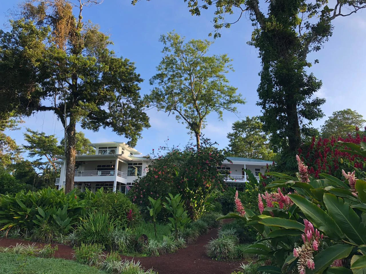 Villa Corazon: Unique LAKE FRONT property, 2 Villas and Tiny house on 5 acres with lake access. - Gallery image 10