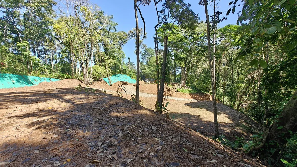 ID  1011: 7535m² Cahuita Land Near the Beach with Building Platform - Gallery image 2