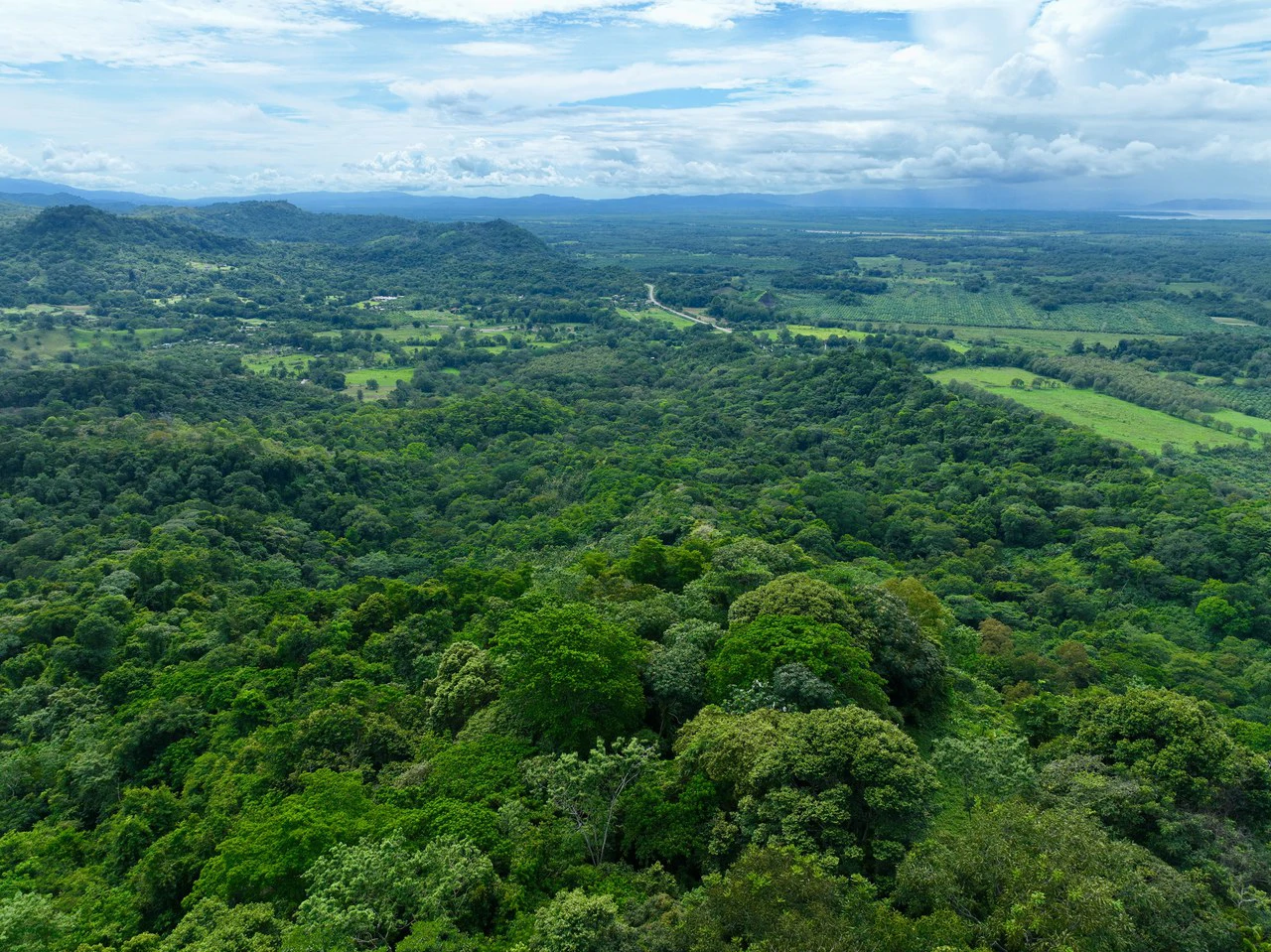 TROPICAL MASTERPIECE – 61.78 ACRES OF OCEANVIEW BLISS WITH WATERFALL: Mountain Development Parcel For Sale in Tres Rios - Gallery image 20