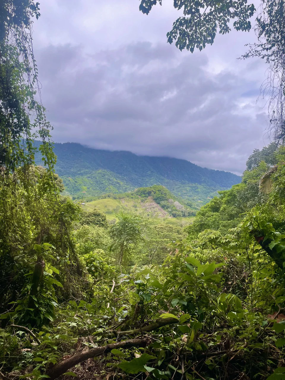 TROPICAL MASTERPIECE – 61.78 ACRES OF OCEANVIEW BLISS WITH WATERFALL: Mountain Development Parcel For Sale in Tres Rios - Gallery image 2