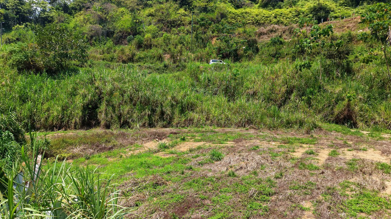 Countryside Home Construction Site For Sale in San Pedro - Gallery image 9