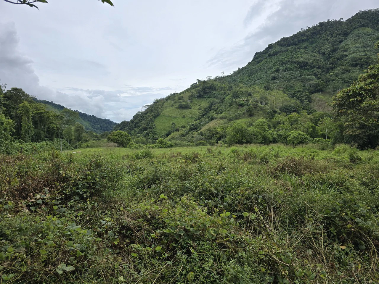 Mountain Home Construction Site For Sale in Río Nuevo - Gallery image 4