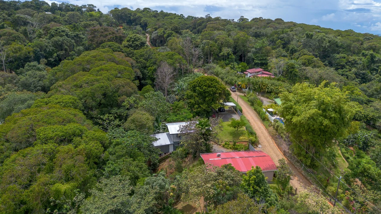 Multi-Family Compound, 4 Fully Furnished Units | 15 Minutes to the Beach - Gallery image 8