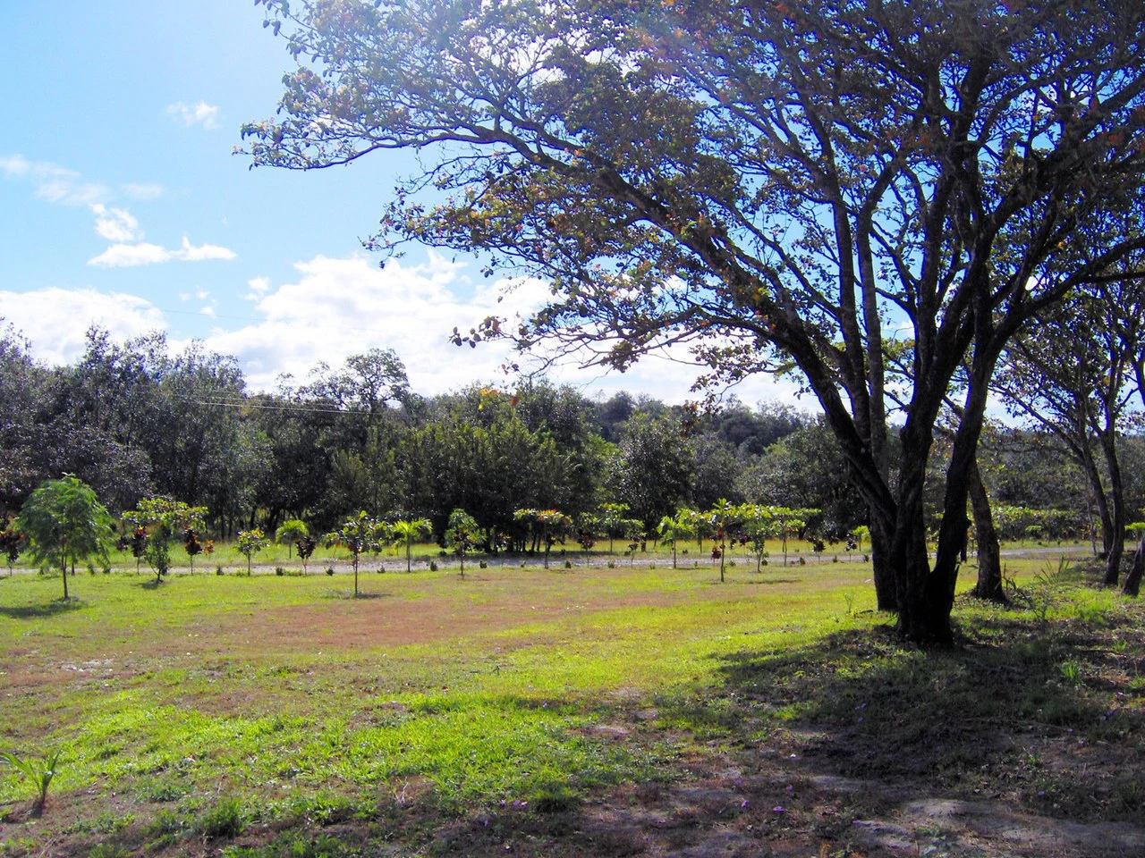 Colorado River Paradise Farm for Sale - Just 10 Minutes from Liberia - Gallery image 11