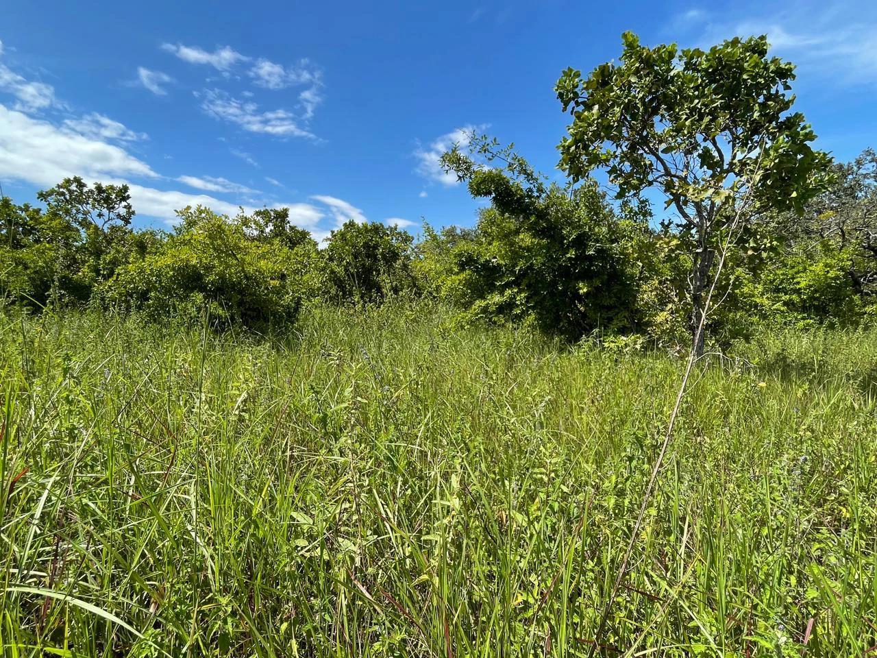 Airport Liberia Top commercial location huge property for sale - Gallery image 34
