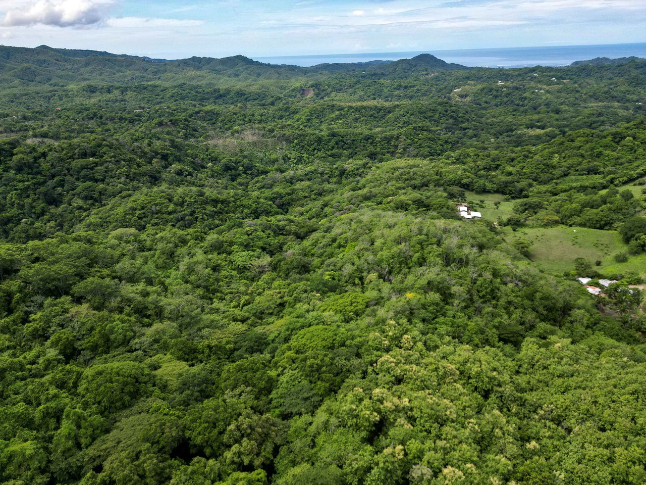Finca Montana: 125 Acre Finca With Stunning Ocean Views - Gallery image 10
