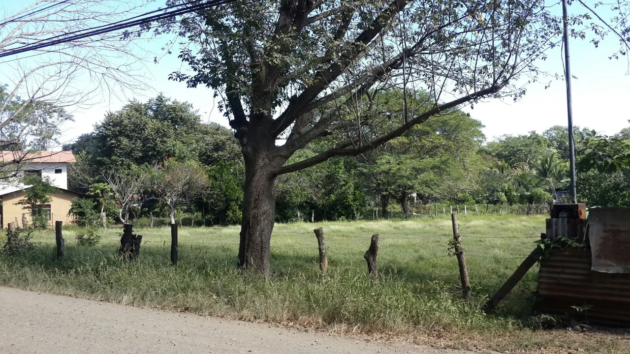 Ganga Lote grande: Building Lot for Sale Near Guanacaste’s Gold Coast - Gallery image 7