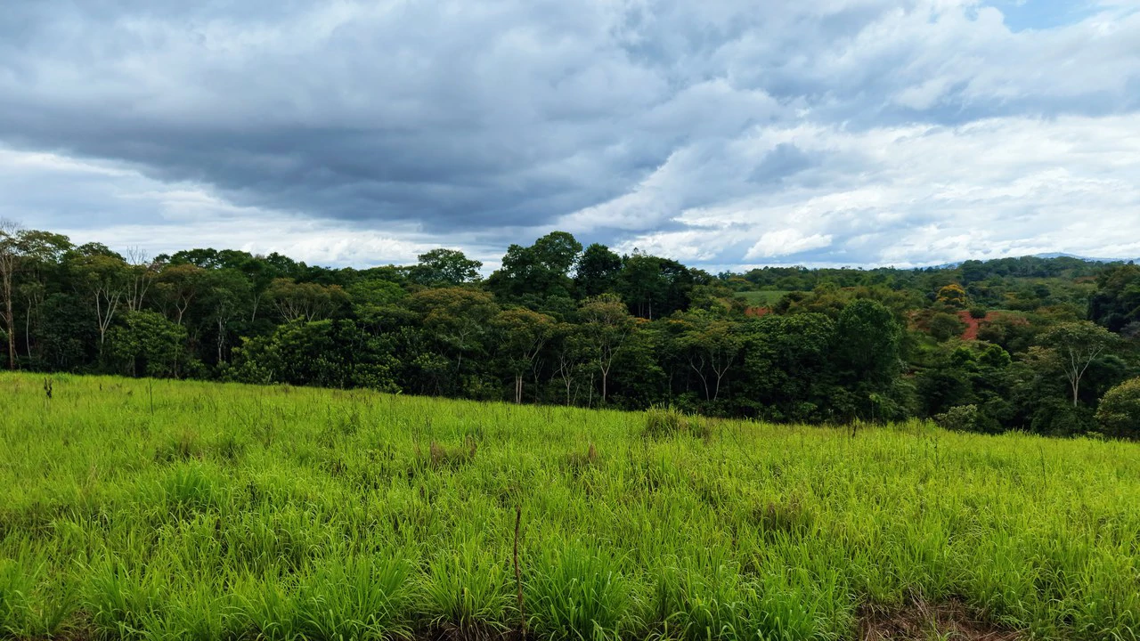 Countryside Home Construction Site For Sale in San Pedro - Gallery image 29
