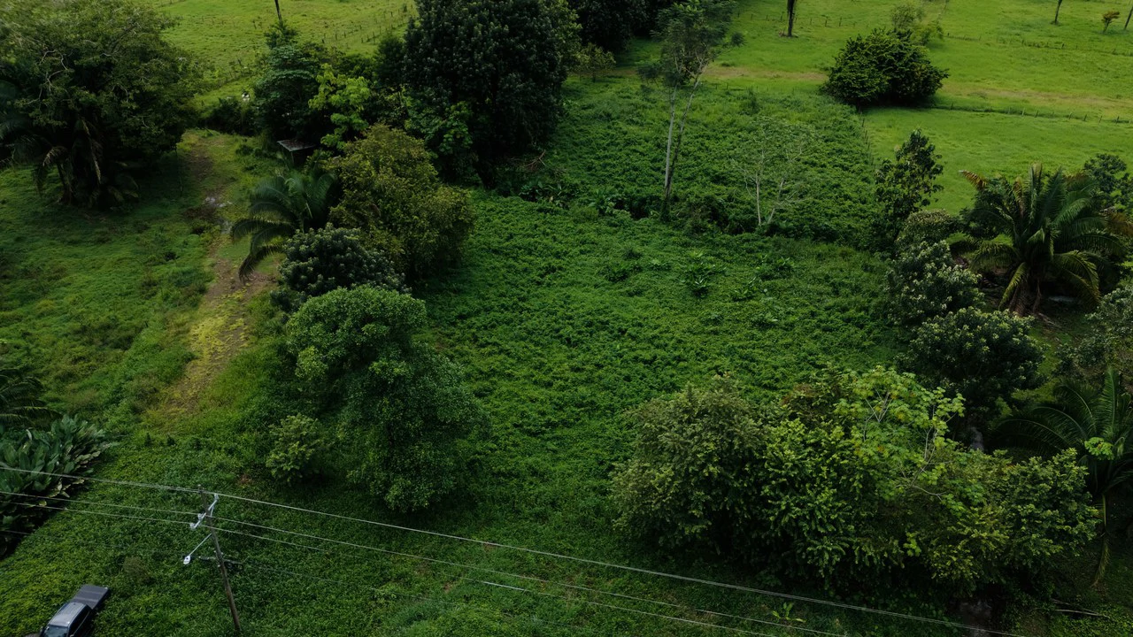 Strategic 5000sqm Commercial Property in Uvita: Perfect for any Business Vision - Gallery image 5