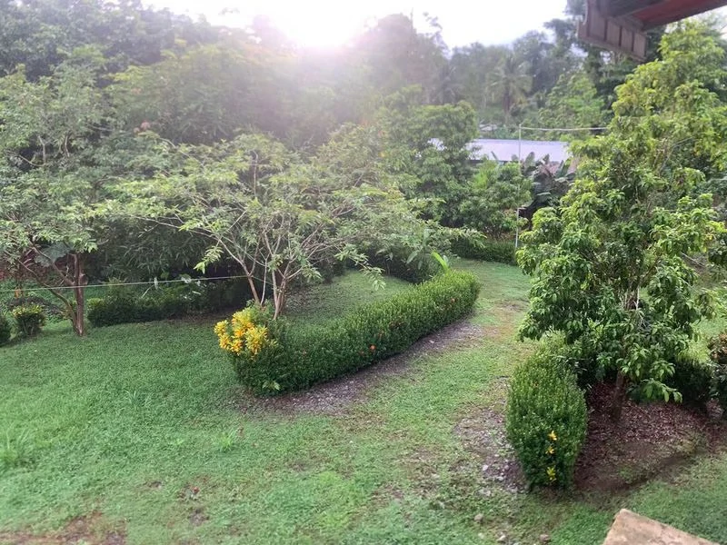 Private Home in Oasis: La Amapola, Puerto Jimenez - Gallery image 20
