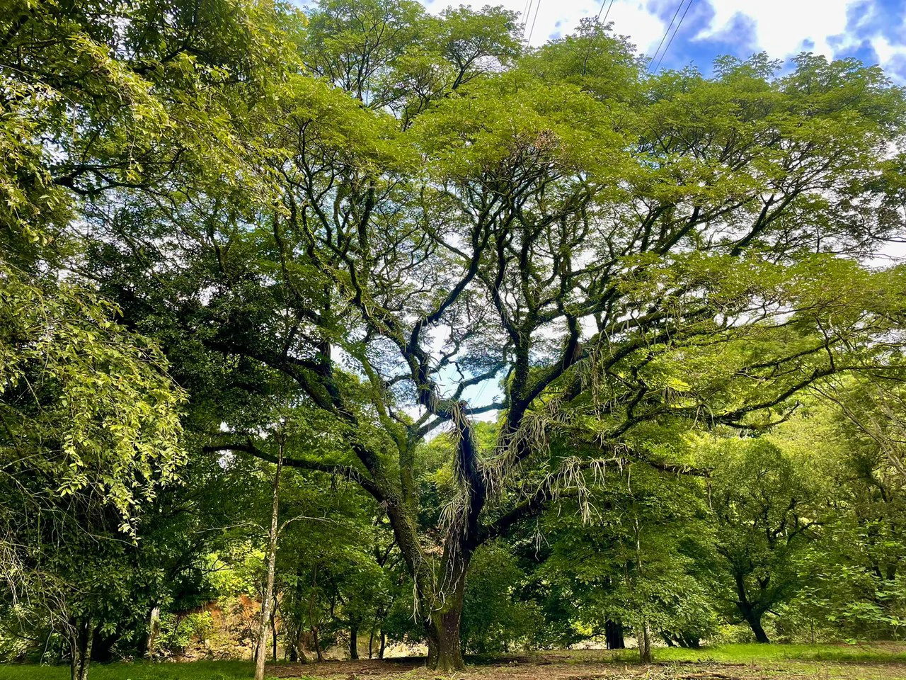 Property for Sale for Tourism Development with River in Orotina Alajuela Costa Rica - Gallery image 10