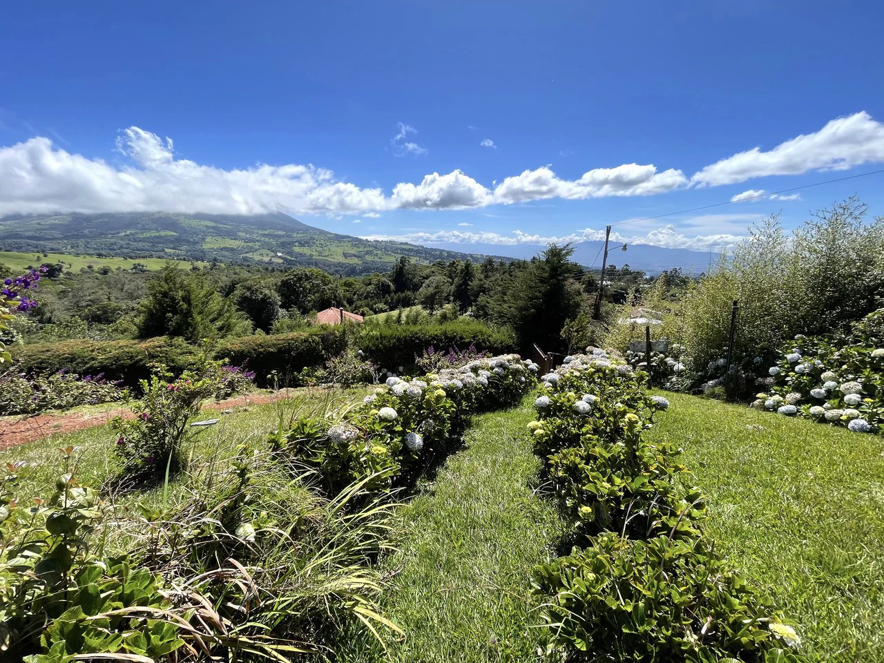 Poasito cottage: Poasito, Alajuela views cottage for sale - Gallery image 22