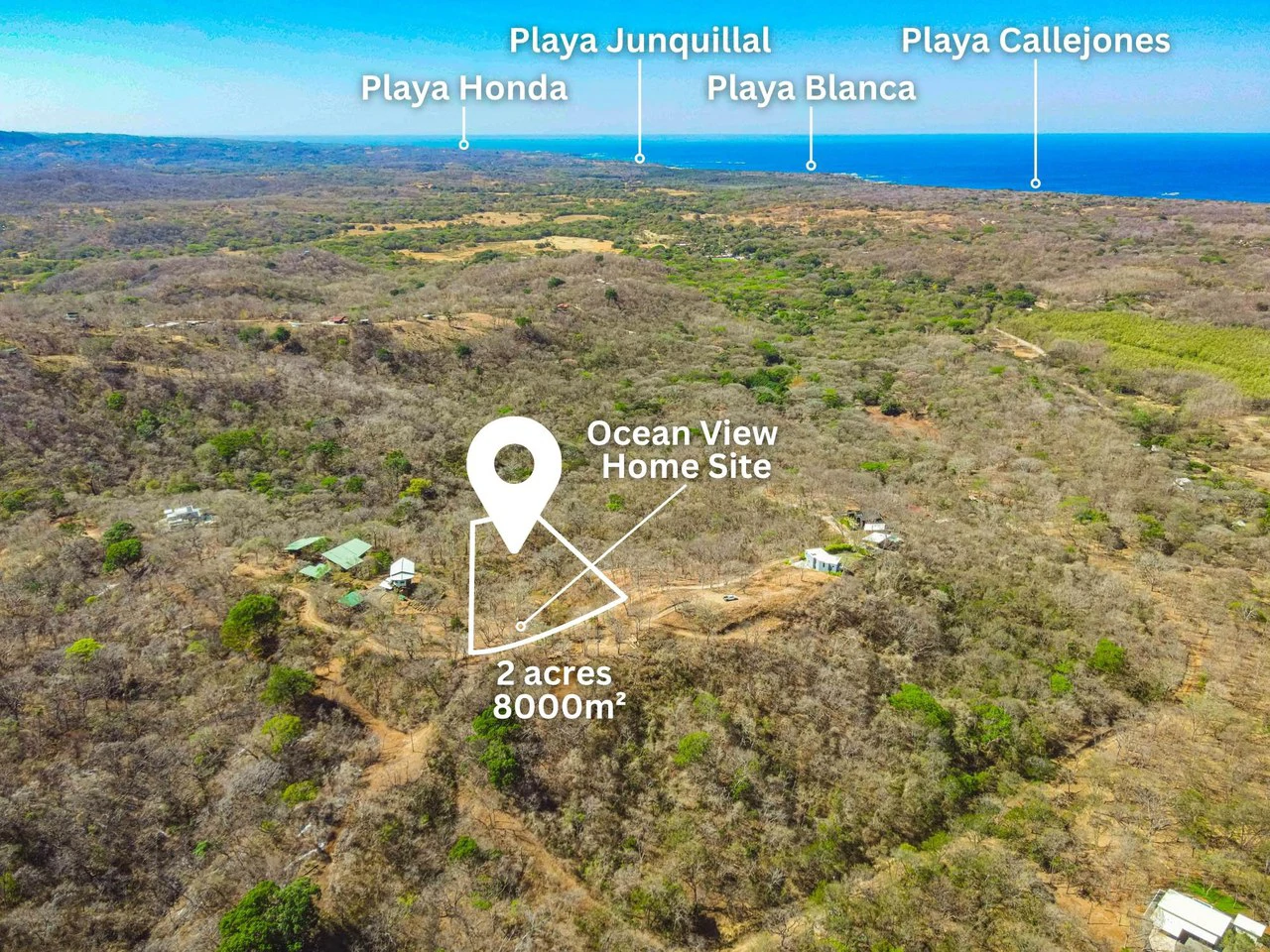 Pura Jungla #9: Ocean Views, Nature and Serenity in Playa Negra - Gallery image 3