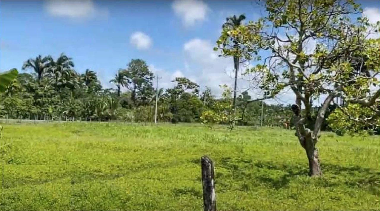 Westfalia, Matama: Countryside and Near the Coast Home Construction Site For Sale in Beverley - Gallery image 4