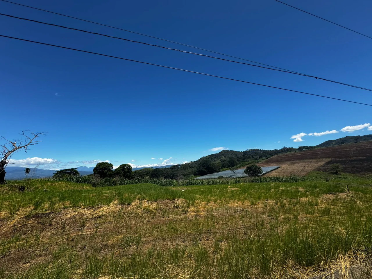Attn: Developers!: 10 ha Prime Development Land Near Booming Free Zone Corridor - Gallery image 4
