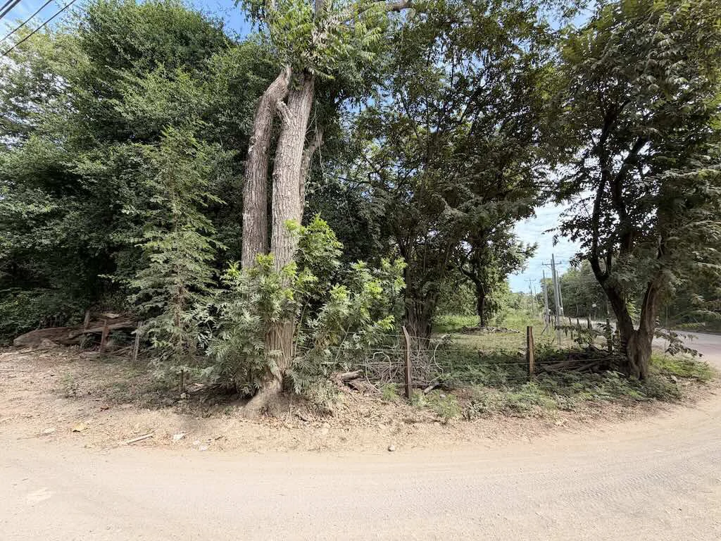 Build-Ready Lot: Palm Beach Estates - photo 8