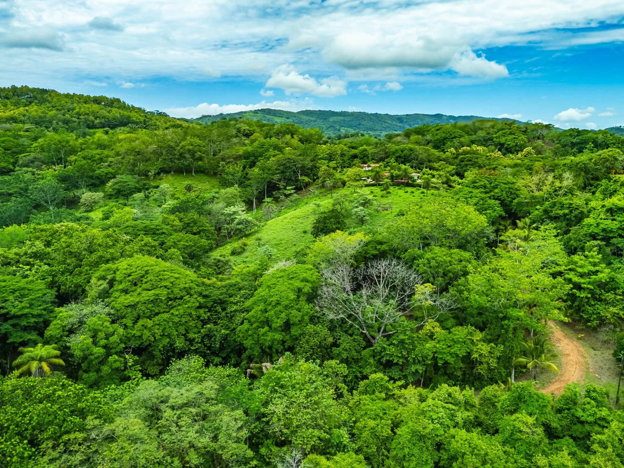 The Refuge: Ecological Lots in Hojancha Blue Zone - photo 16