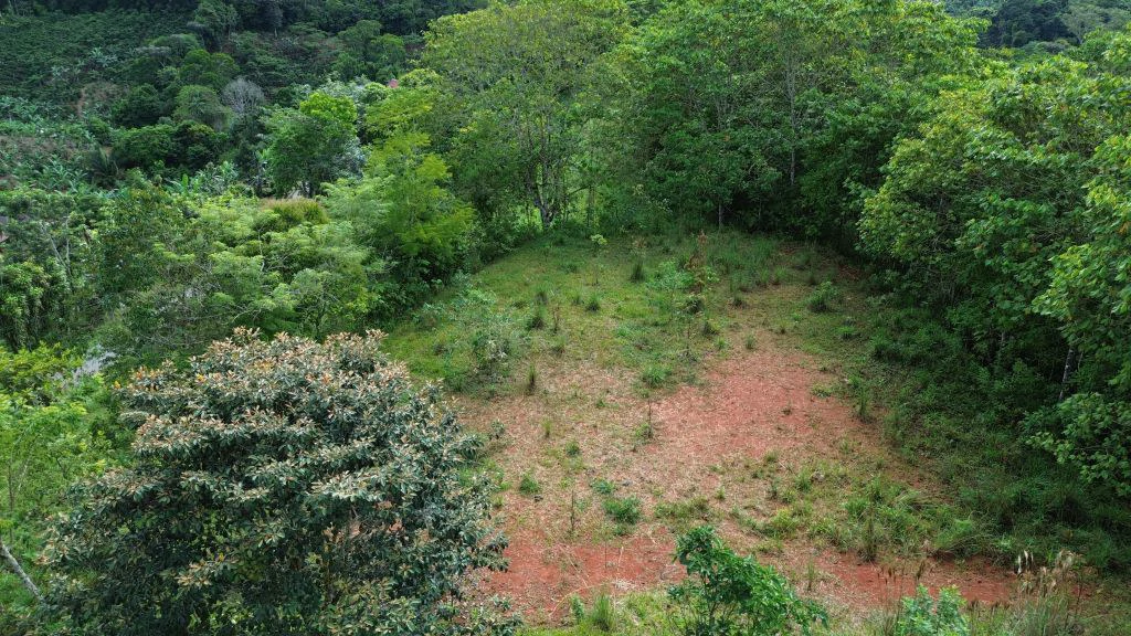 Mountain and Countryside Agricultural Land For Sale in Platanares - photo 9