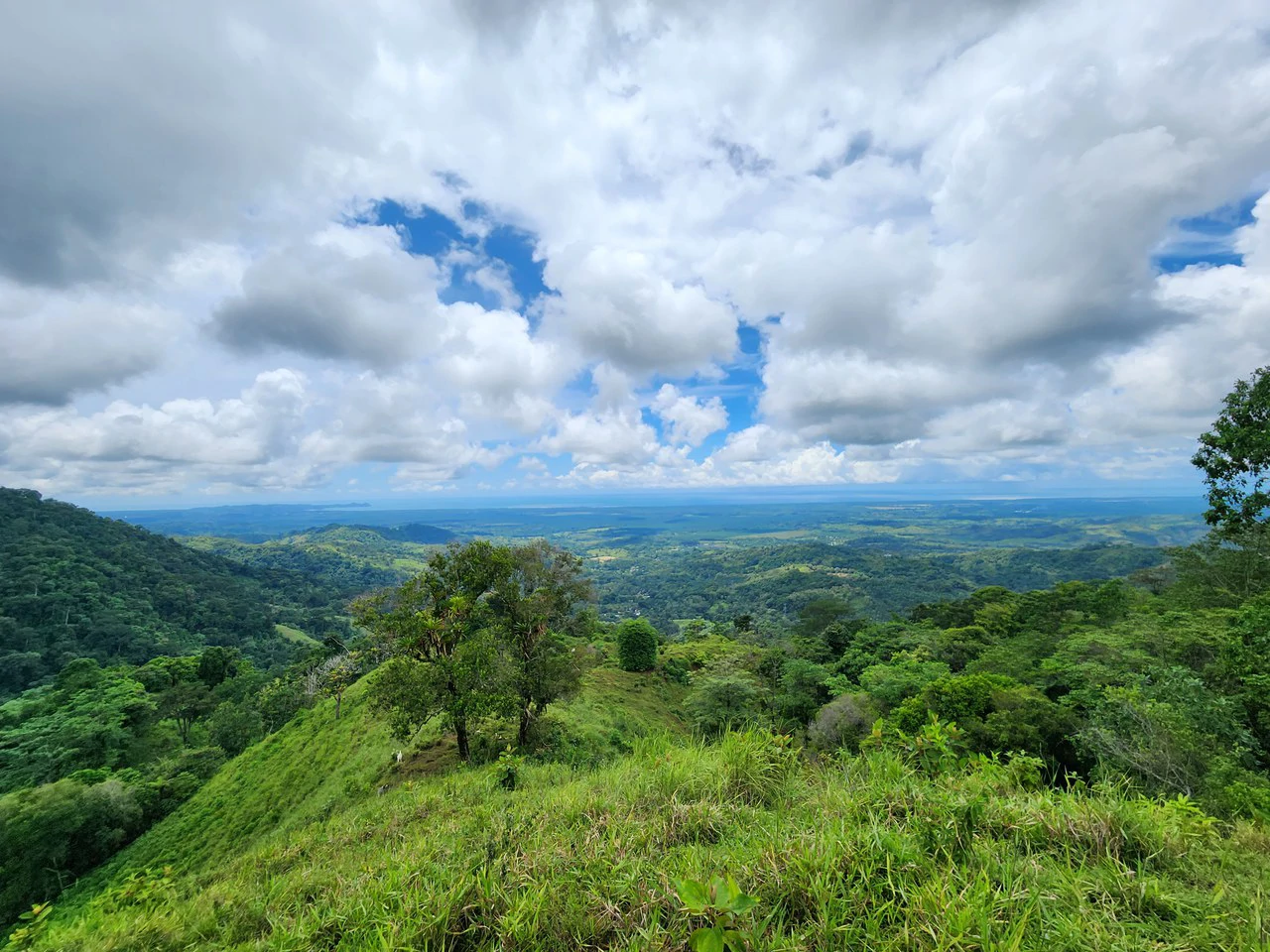 PRIME PARRITA FARM FOR SALE - Gallery image 53
