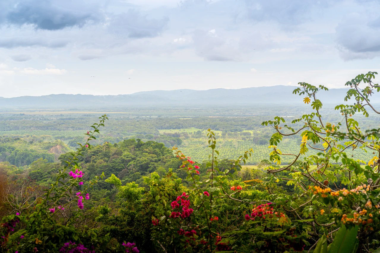 Casa Mono Titi: Front Ridge Ocean View  – Tres Rios, Costa Rica - Gallery image 36