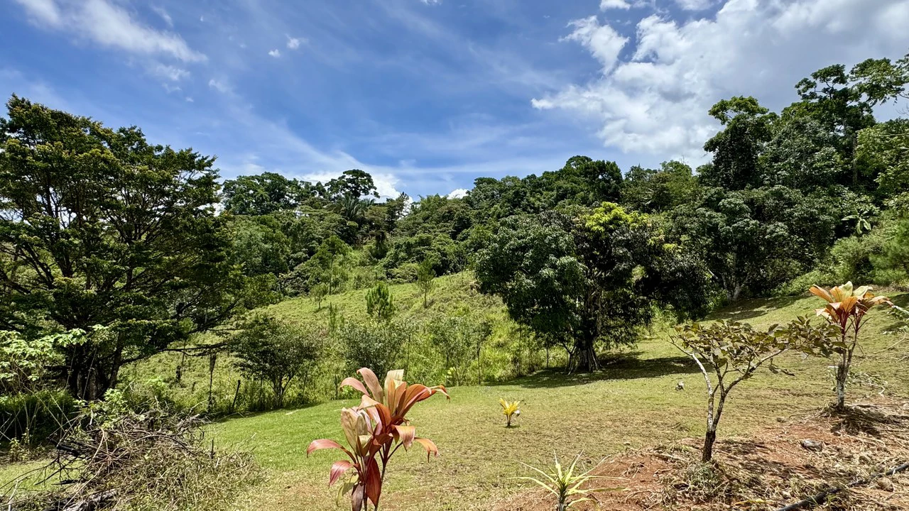 Spring, Waterfalls and more!  Farm in San Vito Limoncito! - Gallery image 26