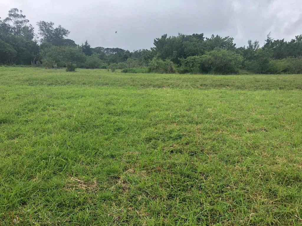 Horse ranch mountain farmland with its own stable's in San Rafael, Heredia - Gallery image 13