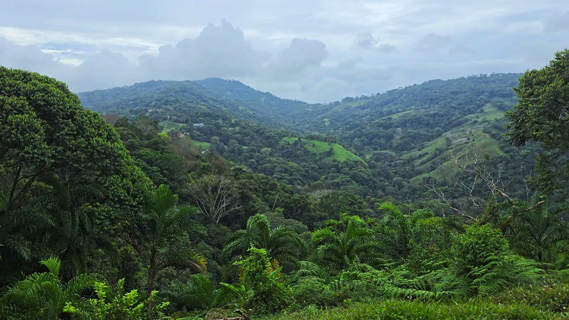 Finca Makambu: Countryside, Mountain, Near the Coast and Riverfront Property For Sale in Barú - Gallery image 17