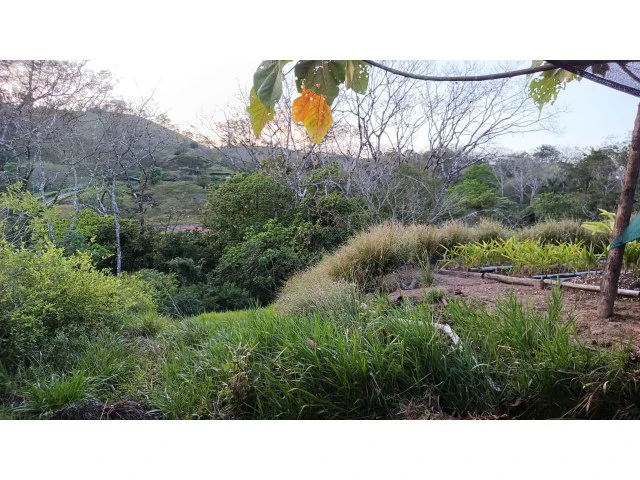 Exclusive lot for sale in Hojancha's green, tropical, rolling mountains, just 3 minutes from town - Gallery image 3