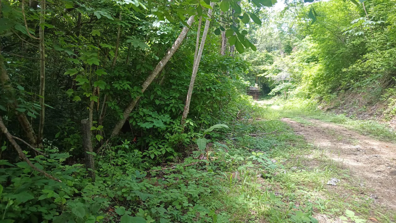 Premium Development Property for Sale in Nosara – Excellent Location with Main Road Frontage - Gallery image 2