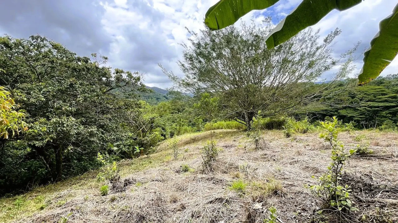 LAND FOR SALE IN SAN MIGUEL, NARANJO - Gallery image 18