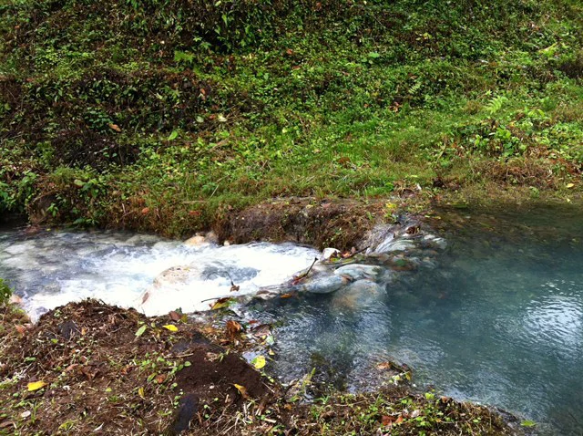 Cold & Hot springs surrounded by an overgrown farm, taken back by nature - Gallery image 75
