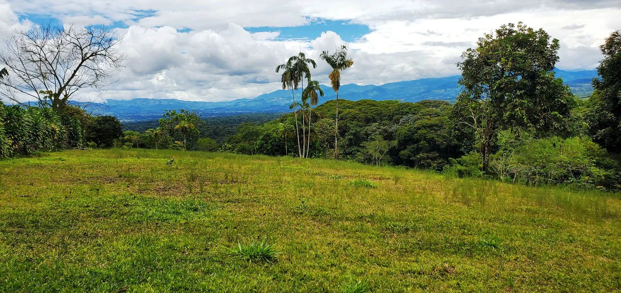3.2 Acre Riverfront Property with Mountain Views San Francisco San Isidro - Gallery image 29