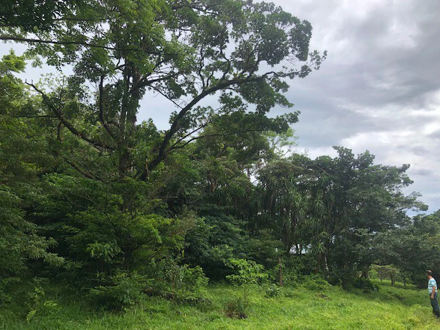 Warm Spring Mountain Property in a tropical landscape and antique wooden house,  50 minutes from Liberia city - Gallery image 9