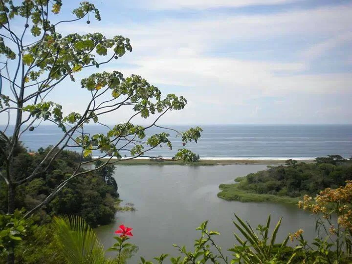 Osa Peninsula, Carate Beach: Incredible Ocean View above the Pacific - Gallery image 10