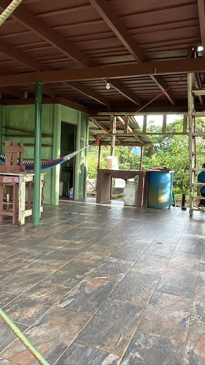 Spectacular 72.44 acres: Magical rain forest paradise with river, waterfall, hiking trails, diverse wood and fruit trees. Perfect location for retreat development, hotel or home. - Gallery image 13
