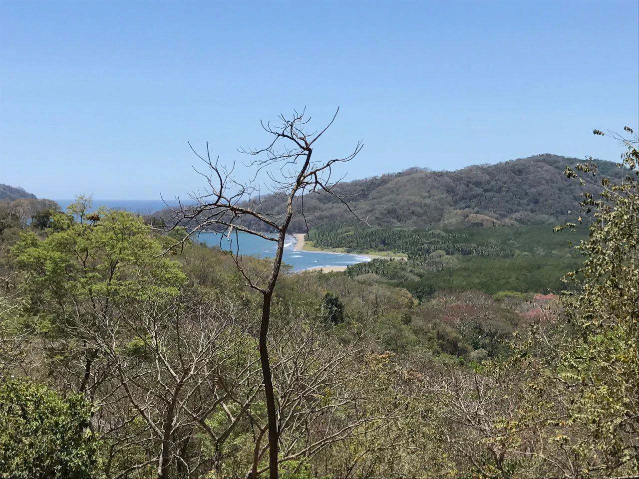 Alegria: High-End Premium Ocean View Custom Built Home - Gallery image 28