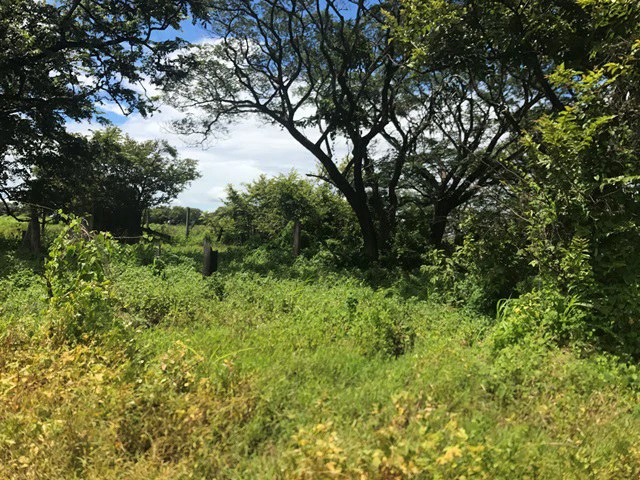 Large Development Land for Sale in Liberia, Guanacaste, Costa Rica - Gallery image 24