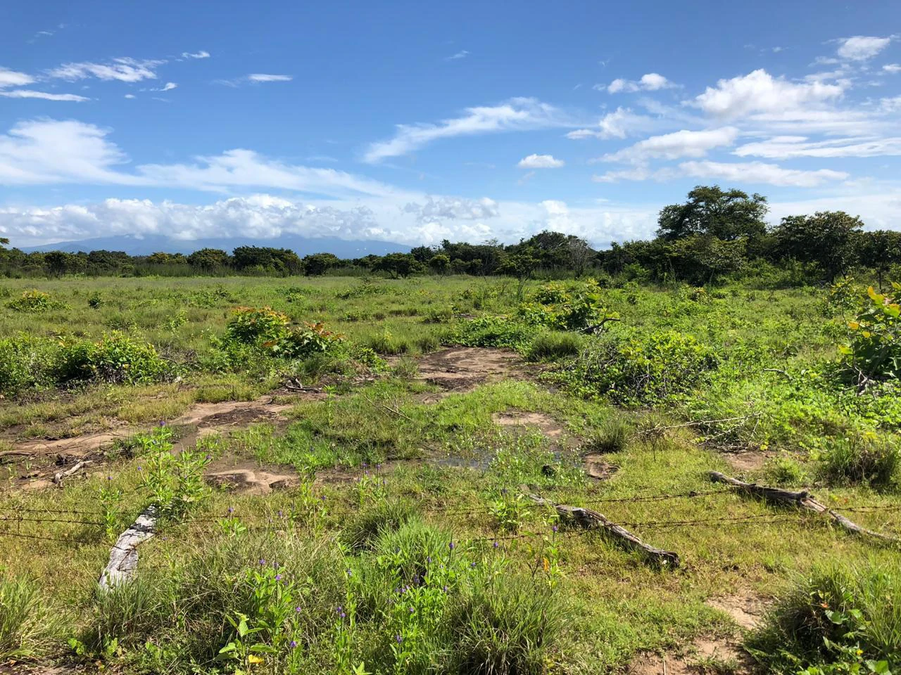 Great investment opportunity, property adjacent to Liberia Airport - Gallery image 11