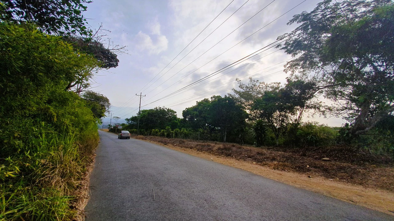 FRUIT TREE PROPERTY FOR SALE: Home Construction Site For Sale in San Isidro del General - Gallery image 8