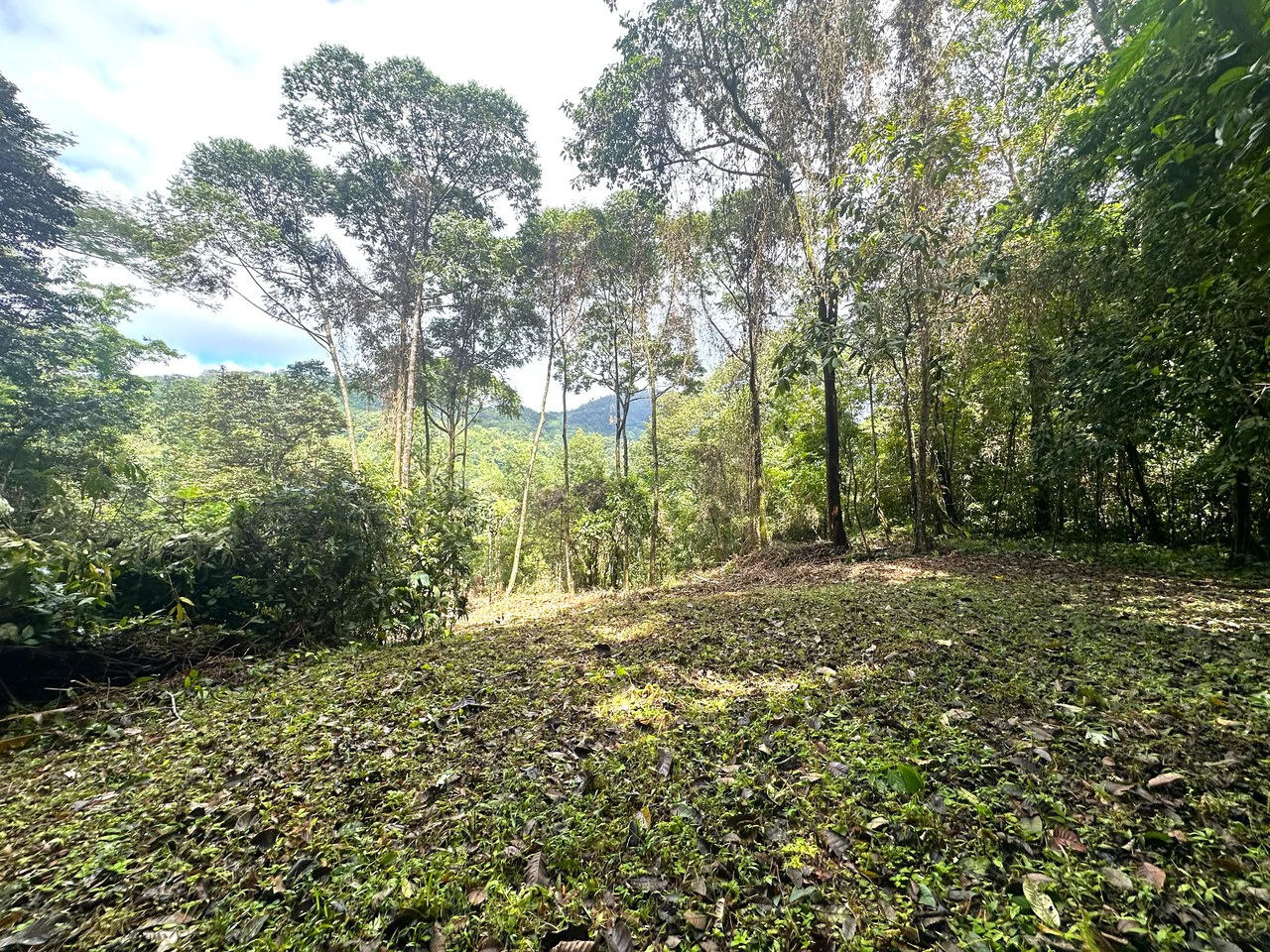 Mountain View Building Lot in Prestigious Gated Community With Private Waterfall & Two Building Sites: Mountain Home Construction Site For Sale in Portalon - Gallery image 18