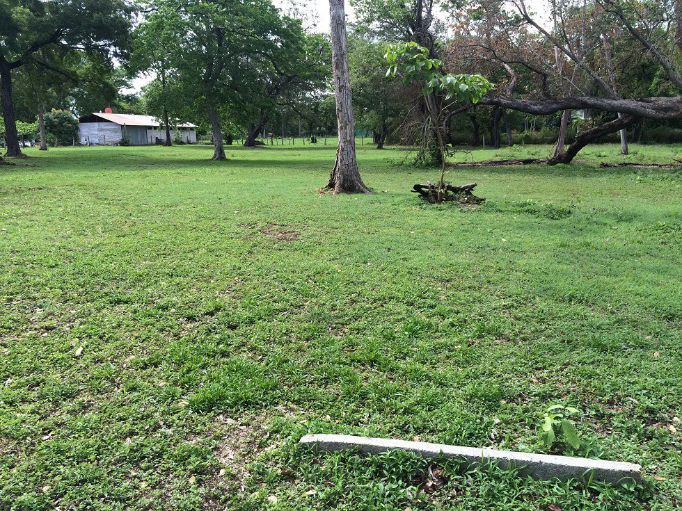 Propiedad grande: Home Construction Site For Sale in Liberia - Gallery image 5