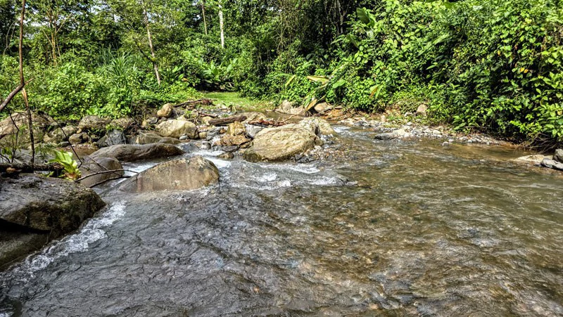 Waterfall Estate, Dos Bocas, Dominical Featuring Twin Waterfalls, Springs, Creeks & Rivers - Gallery image 22