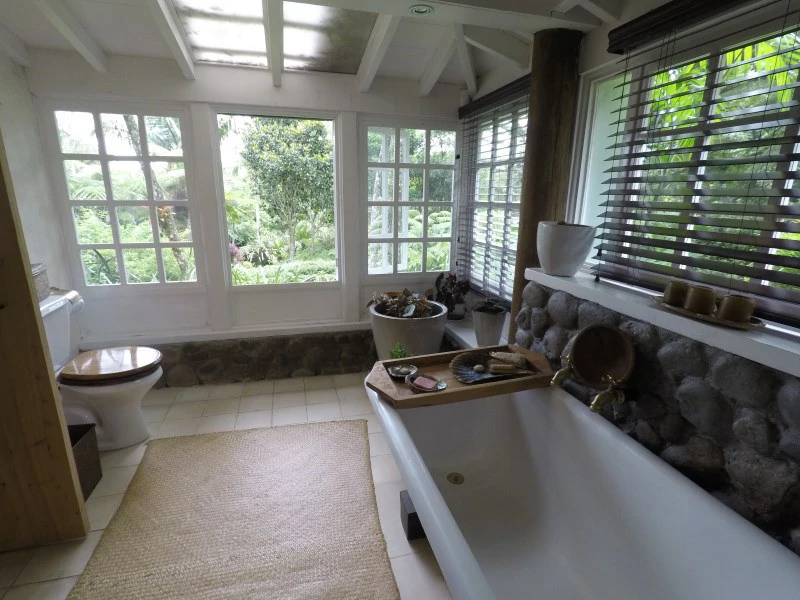 TROPICAL FOREST DREAM 15 min from downtown SJ - Gallery image 22