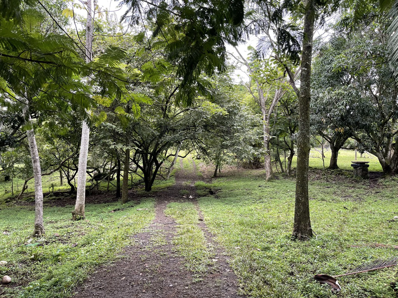Development land for sale La Garita Alajuela 6.2 hectares - Gallery image 7