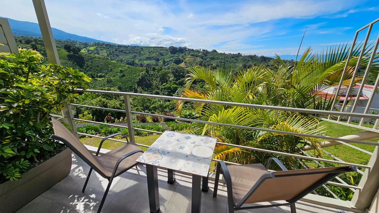 TURNKEY INVESTMENT PROPERTY IN GRECIA - Gallery image 22