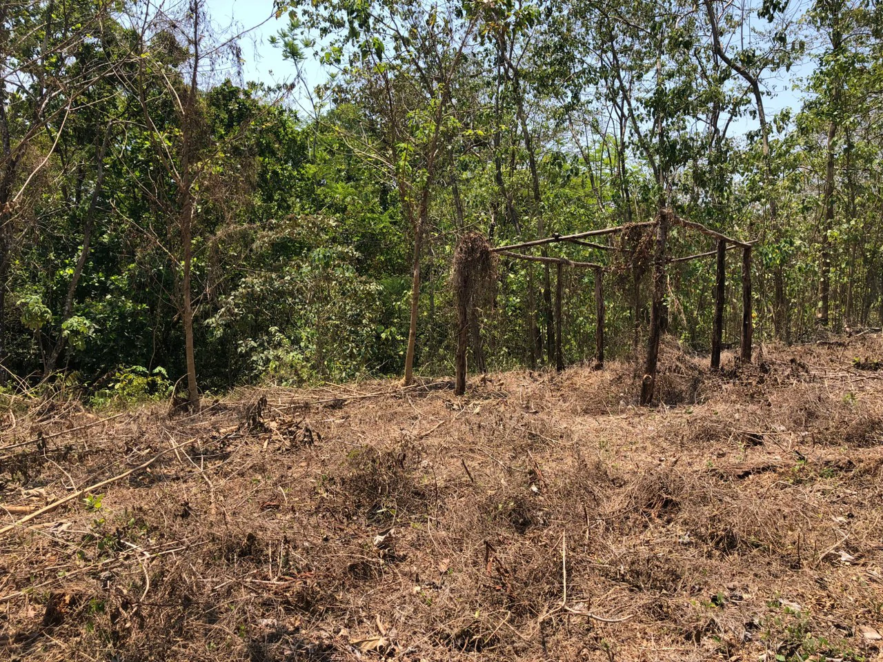 Prime Real Estate Opportunity, Lot with Creek Border in Santo Domingo hills - Gallery image 10