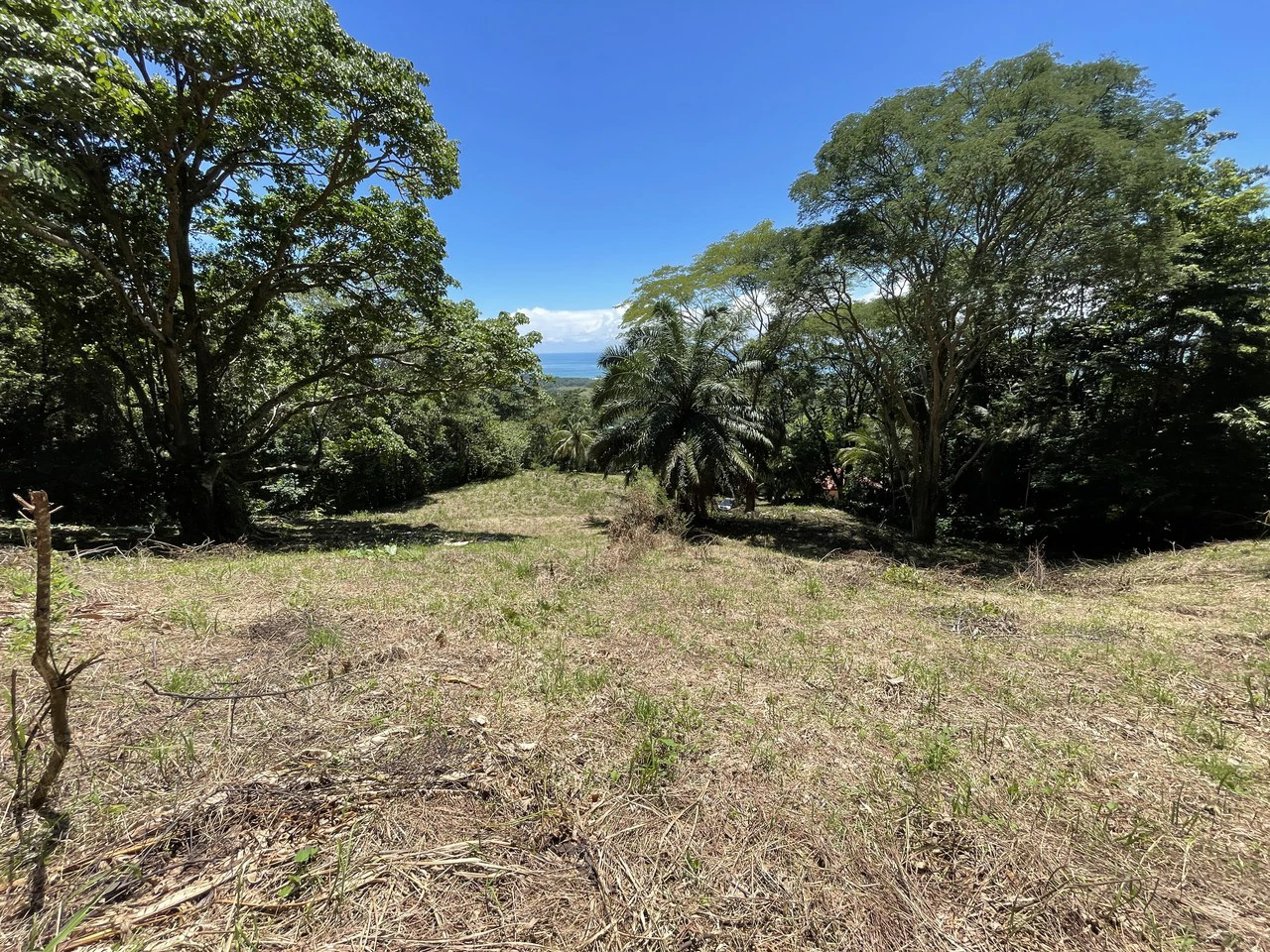 5.4 ACRES – Amazing Ocean View Acreage With Multiple Building Sites And Legal Water!!! - Gallery image 6